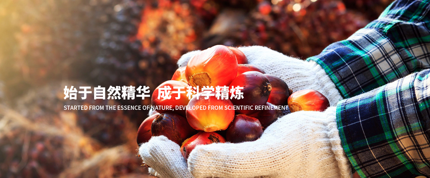 荊州市神舟紡織股份有限公司